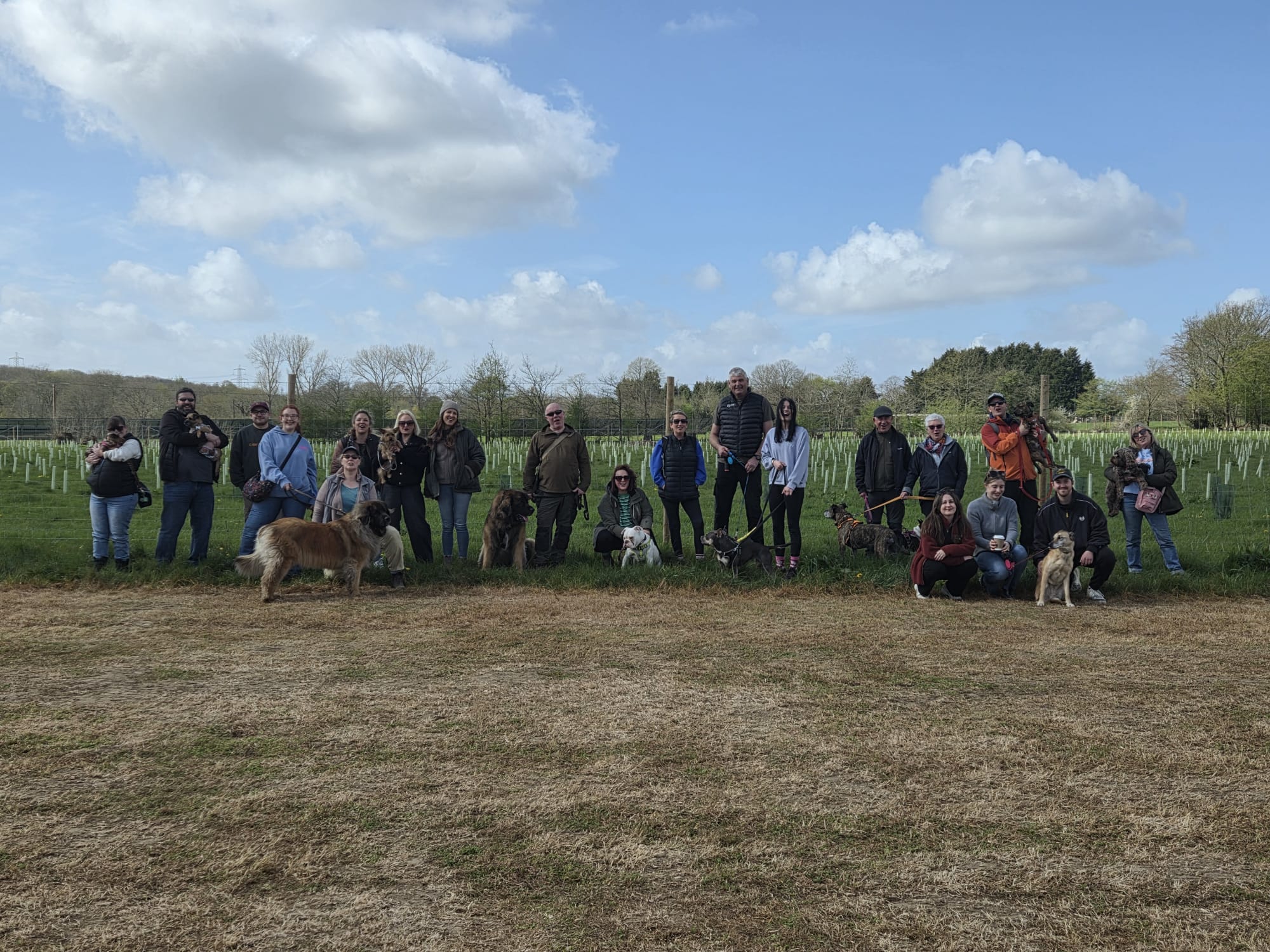 Dog Walk Sundays at Everyday Brew Co