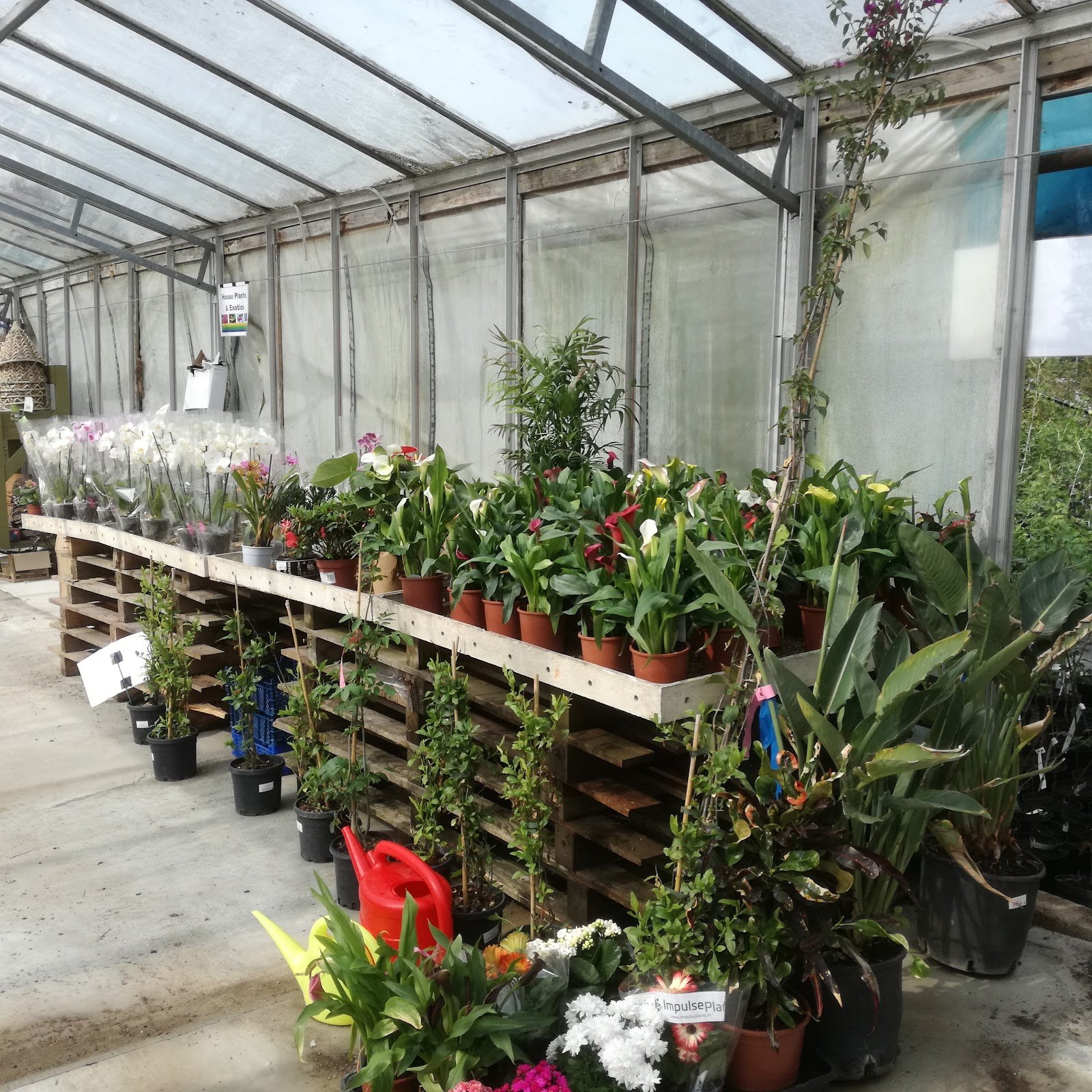 Funky Flora Cafe